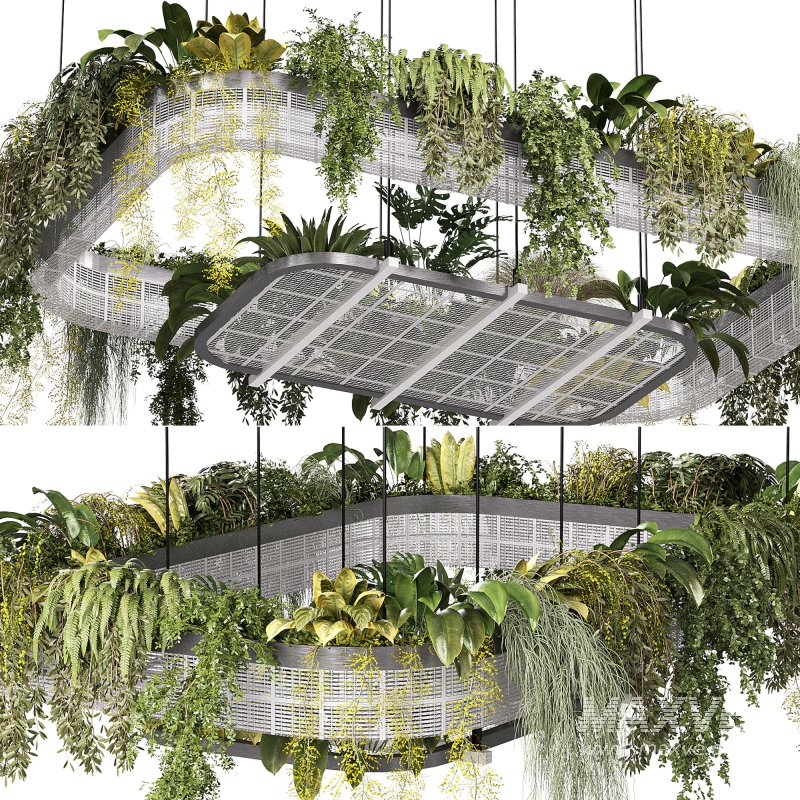 hanging indoor plants 02 - Image 5