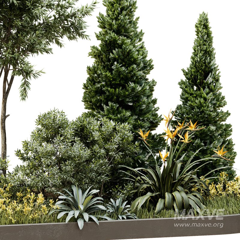 Outdoor Plant 44 - Image 5