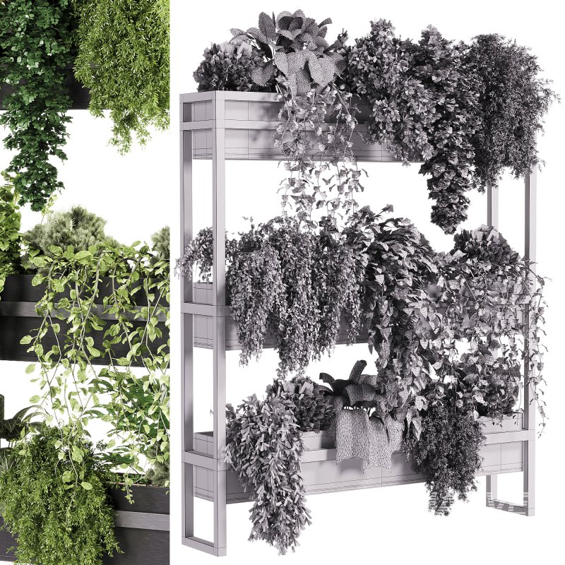 indoor plants – 54 Plant Stand - Image 3