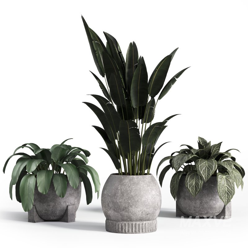 Indoor plant set with plant tree concrete dirt vase 02 - Image 5