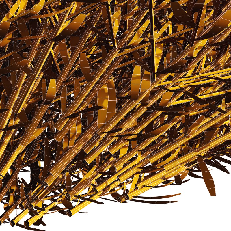 plant bush Lavandula pedunculata 03 - Image 2