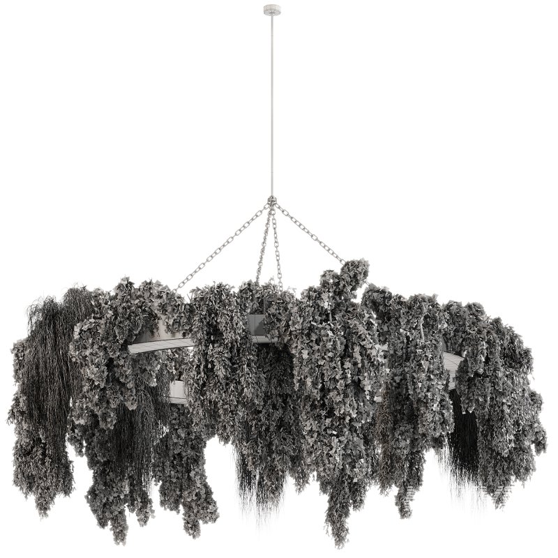 indoor plants 116 – Hanging indoor plant - Image 1