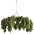 indoor plants 116 – Hanging indoor plant - Thumbnail 3