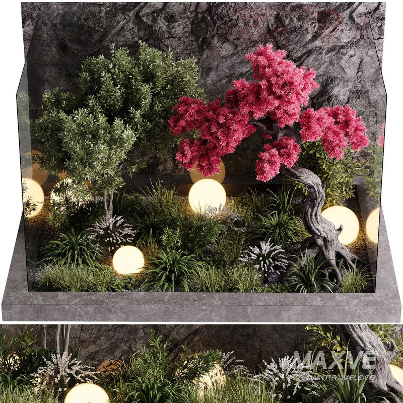 indoor plants – 60 plant in pot - Image 4