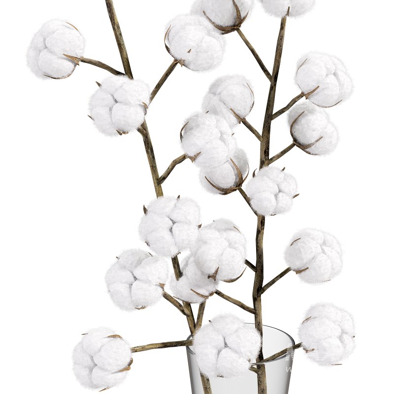 cotton bouquet - Image 1