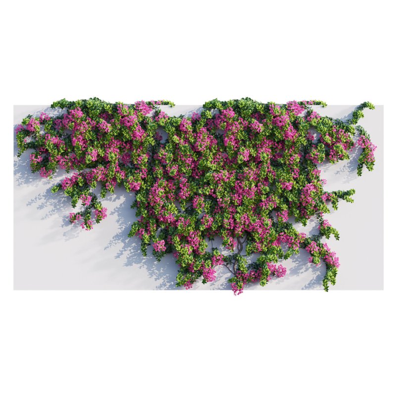 Bougainvillea – Paper Flower 04 - Image 3
