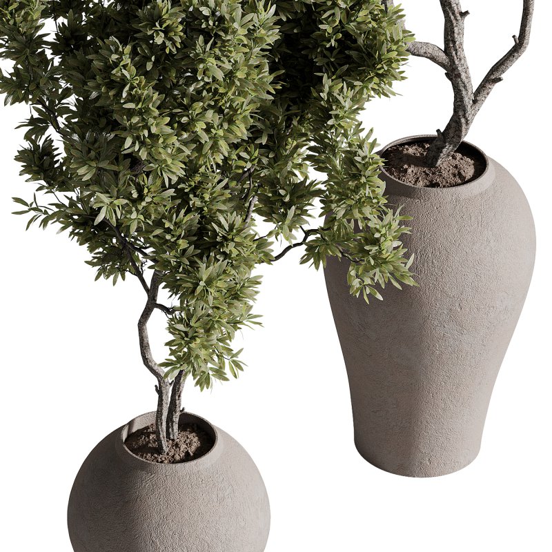 indoor plants – 68 plant in pot - Image 5