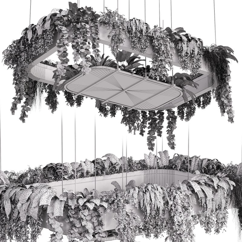 hanging indoor plants 02 - Image 3