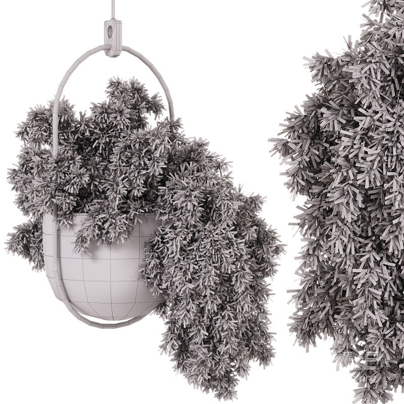 Indoor Plants – 26 Plant in pot - Image 1