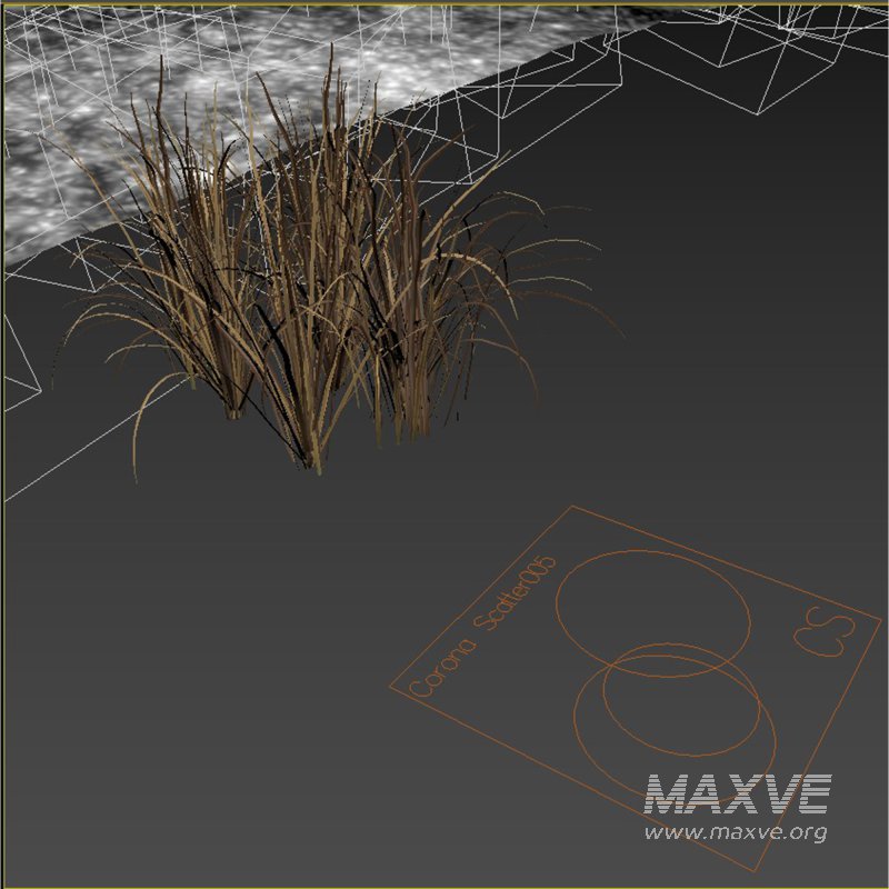 meadow (autumn) - Image 12