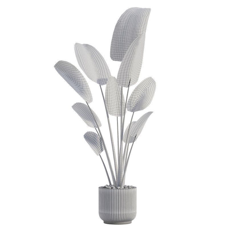 Indoor Plant 01 - Image 4