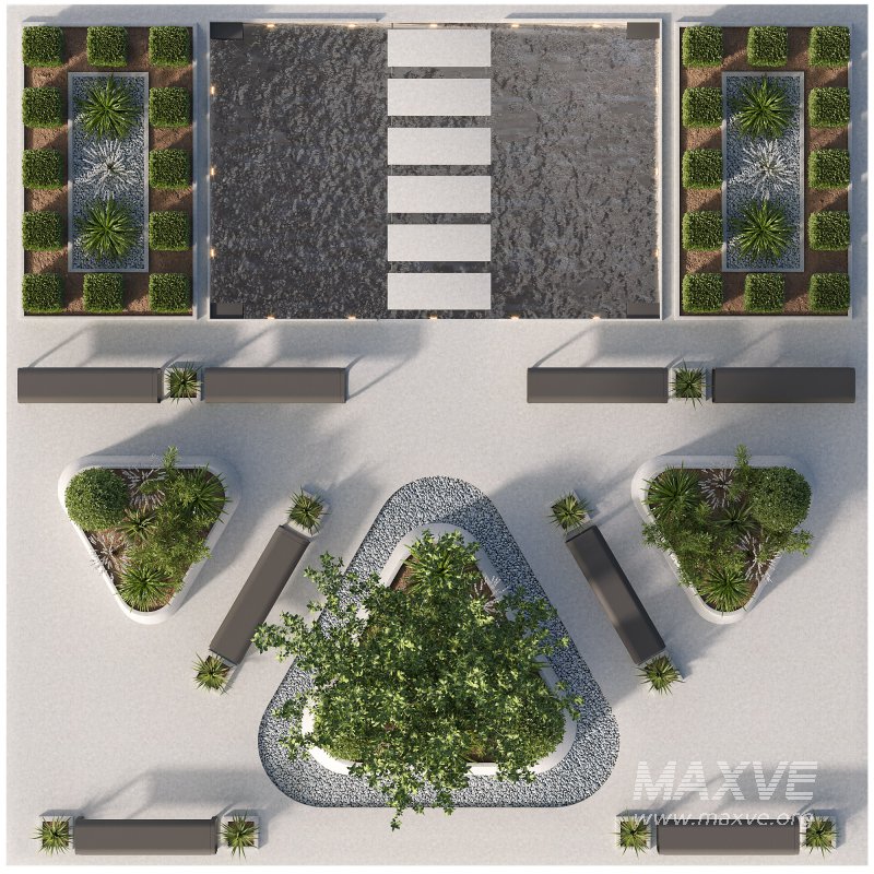 Outdoor Plants – 2 town Square - Image 6