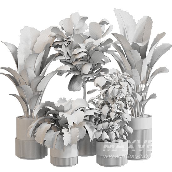 Indoor Plant Set 0159 - Image 5