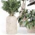 Indoor_plant_set_with_plant_tree_concrete_dirt_vase - Thumbnail 1