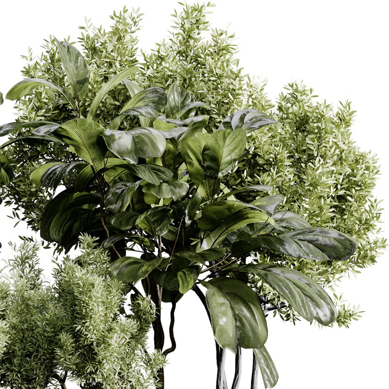 indoor plants 120 – plant collections in pot - Image 8