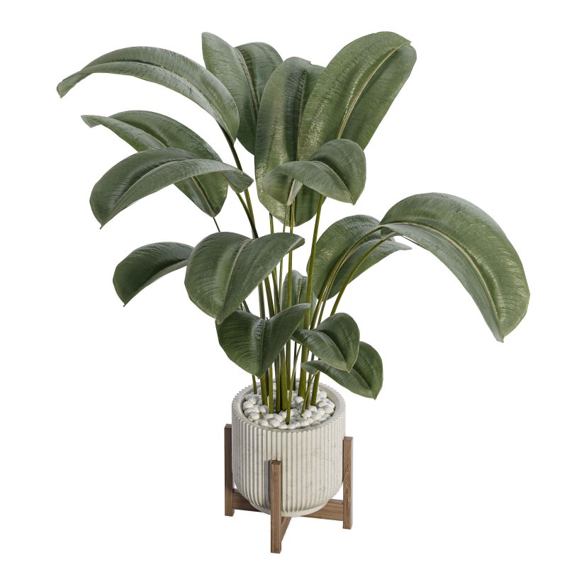 Indoor Plant 02 - Image 2