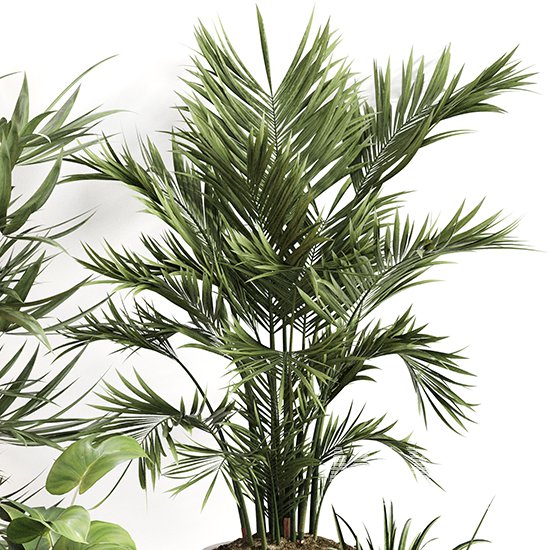 Indoor Plant Set 0158 - Image 3