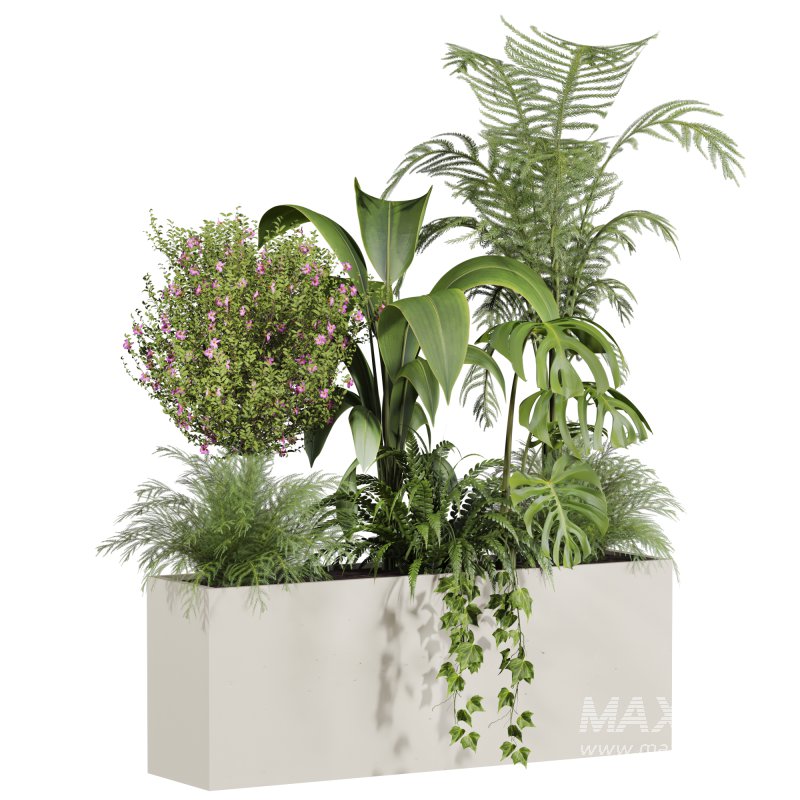 outdoor plants - Image 1