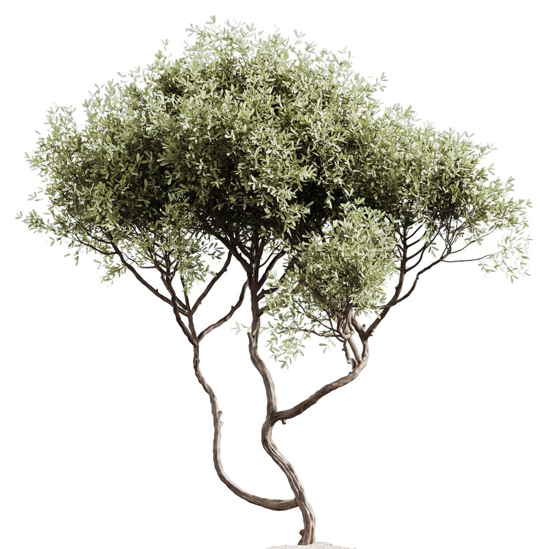 ntal plants. Each plant is placed in finely crafted marble-textured or ribbed pots, enhancing their modern, luxurious appeal. - Image 3