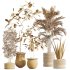 AV Indoor Plants Set 257 Dracaena Marginata and Olive and Areca Palm and Aloe Vera - Thumbnail 9