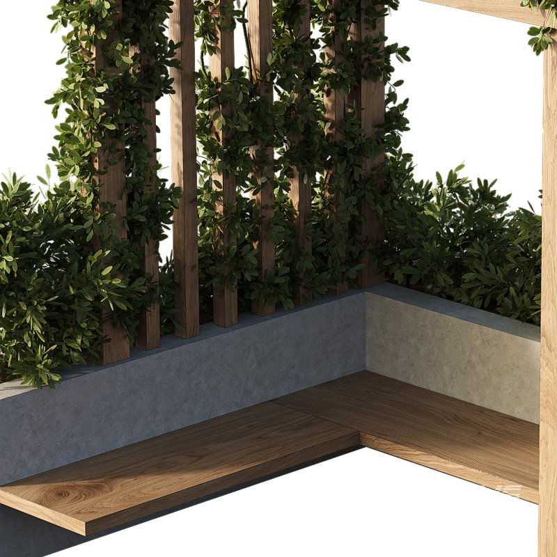OutDoor plants – 3 Pergola plants set - Image 3
