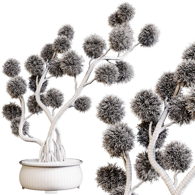 Indoor plants 74 – Bonsai Plant in pot - Image 2