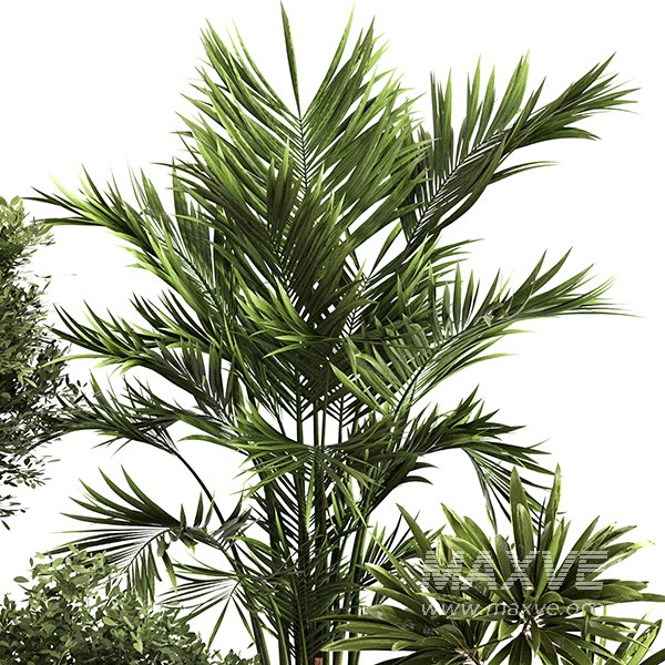 Indoor Plant Set 0153 - Image 3