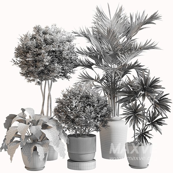 Indoor Plant Set 0153 - Image 5