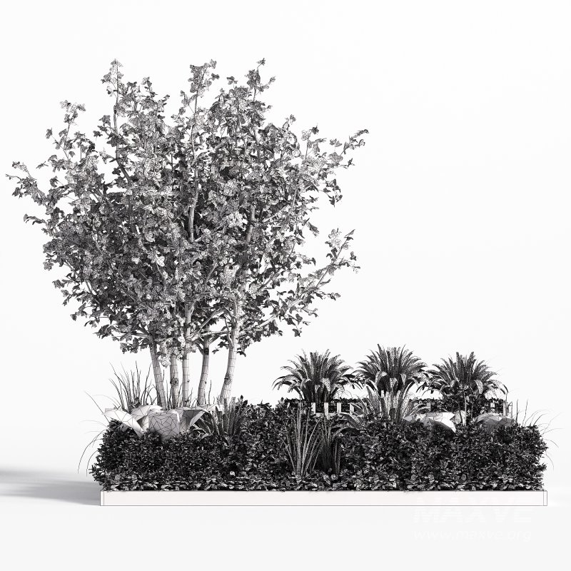 Outdoor Garden plants set in a box - Image 3