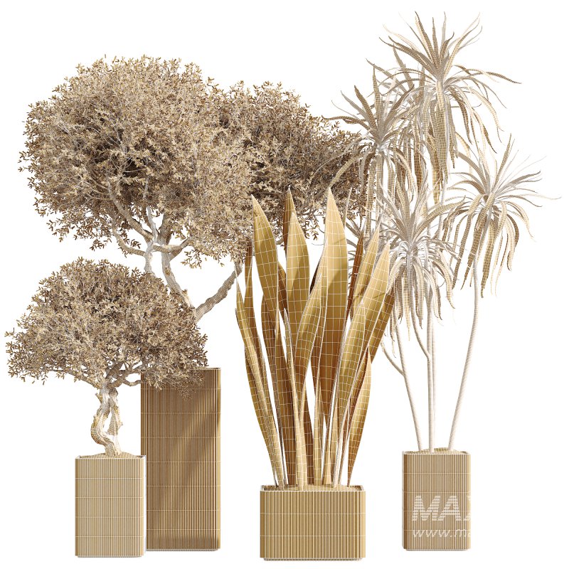 AV Indoor Plants Set 264 - Image 6