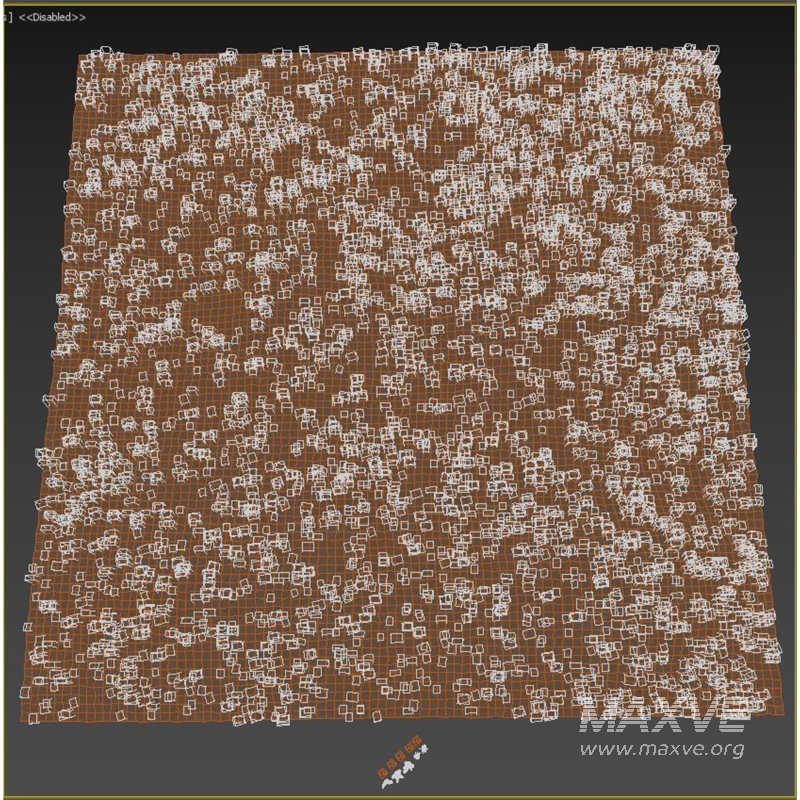 meadow (spring) - Image 4