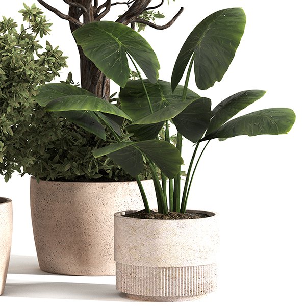 Indoor Plant Set 0152 - Image 4