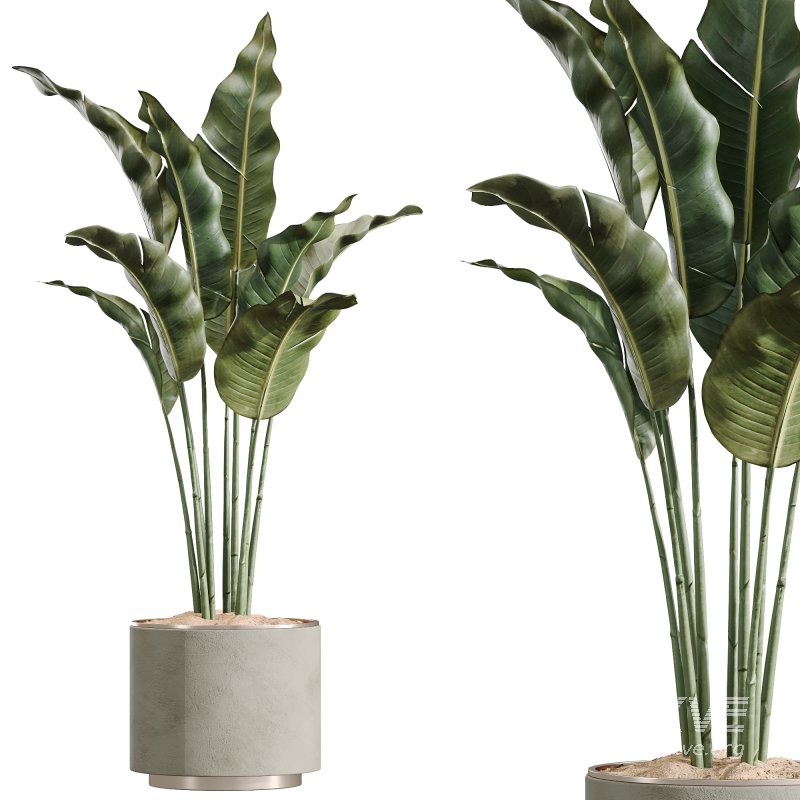 AV Indoor Plants Set 249 - Image 3