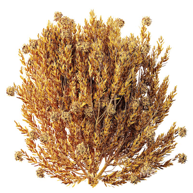 AV Colorful spring bushes Rhododendron Shrub Arboreum and Ixora Jasmine Gardens Chinese - Image 6