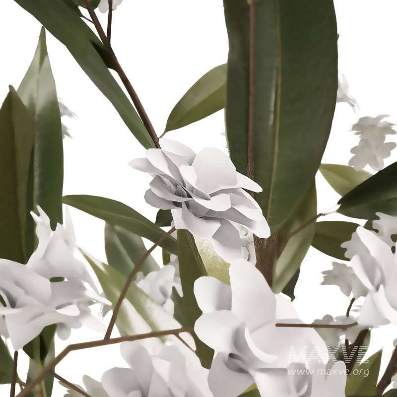 Plants bouquet set 16 - Image 3