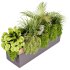 Indoor plant- 20 metall and wooden in box on stand - Thumbnail 5