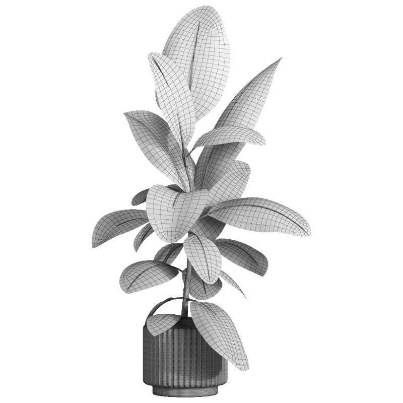 indoor plant 039 - Image 5