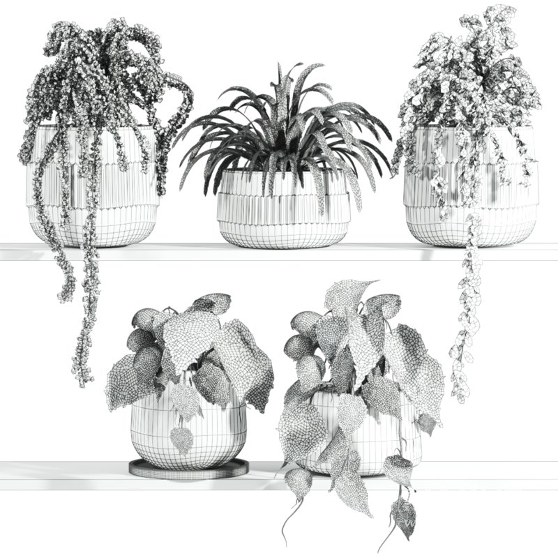 plants set on shelf - Image 2
