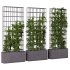 Vertical Garden Partiton plants 05 - Thumbnail 3