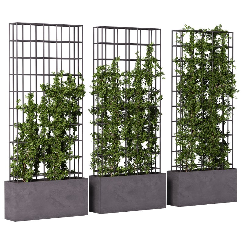 Vertical Garden Partiton plants 05 - Image 3