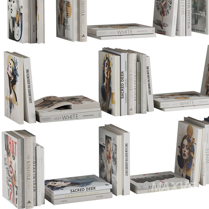 Set of Books V8 - Image 5