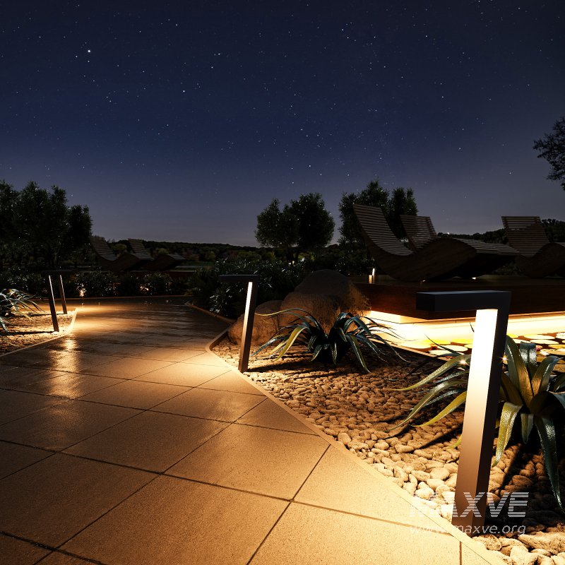 Outdoor Plants – town Square 2 - Image 7