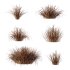 Carex Elata Aurea Grass 04 - Thumbnail 5