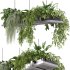 Hanging indoor Plants 03 - Thumbnail 1