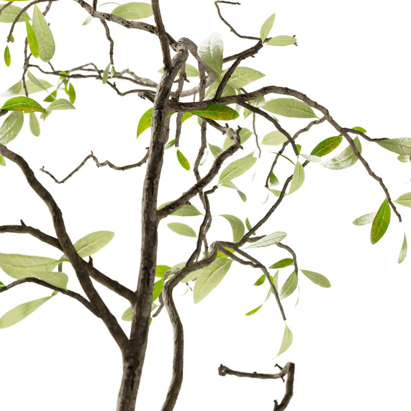 Bouquet set 38 - Image 1