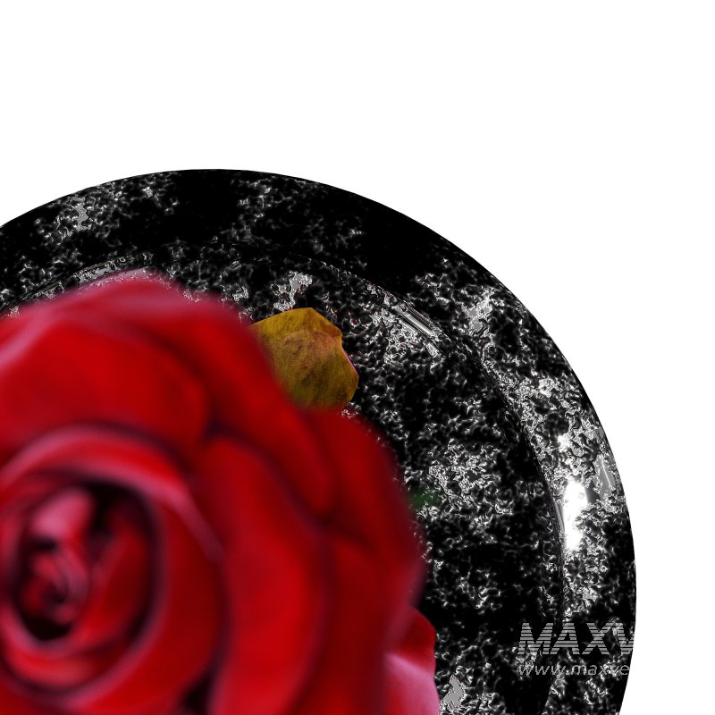 Rose in the movie Beauty and the Beast - Image 1