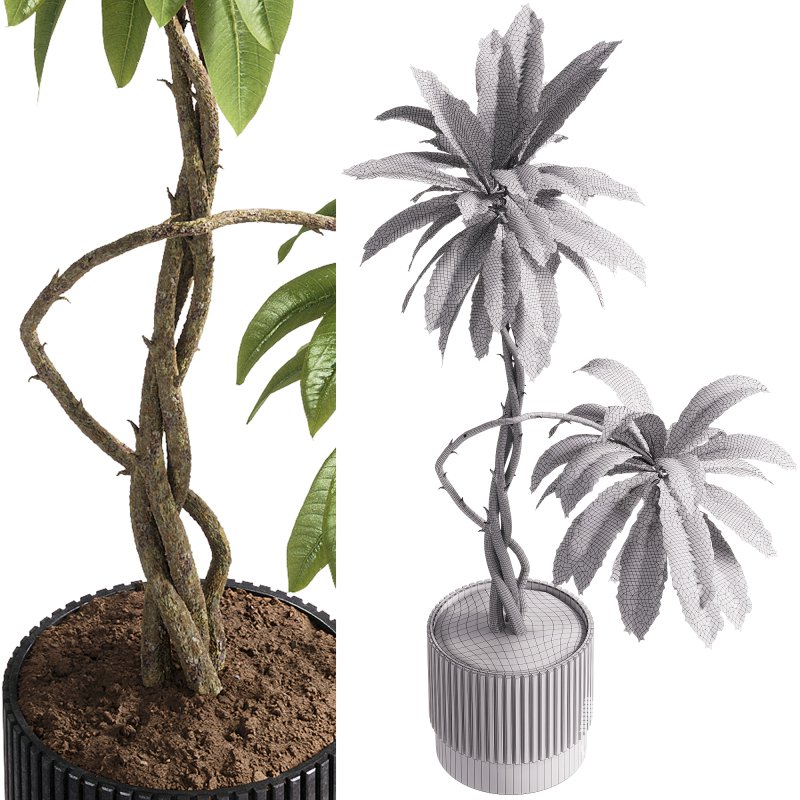 indoor plants – 58 plant in pot - Image 2