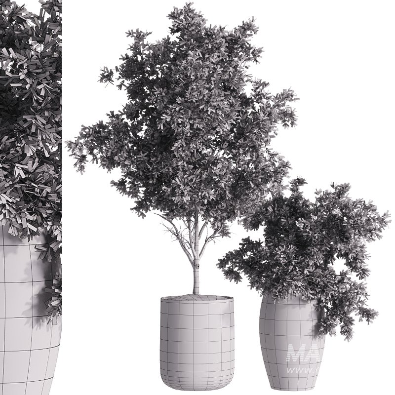 indoor plants – 32 plants in pot - Image 3