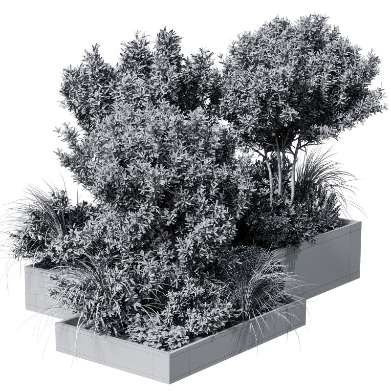 Outdoor plants 12 - Image 5