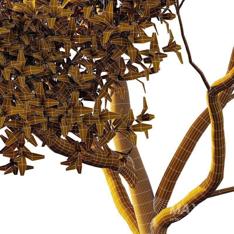 Sydney Blue Gum Tree 08 - Image 1